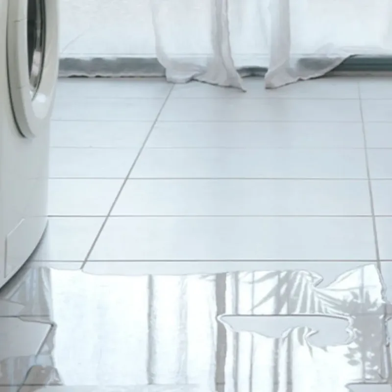 Appliance Leak Cleanup in Scott County, KS