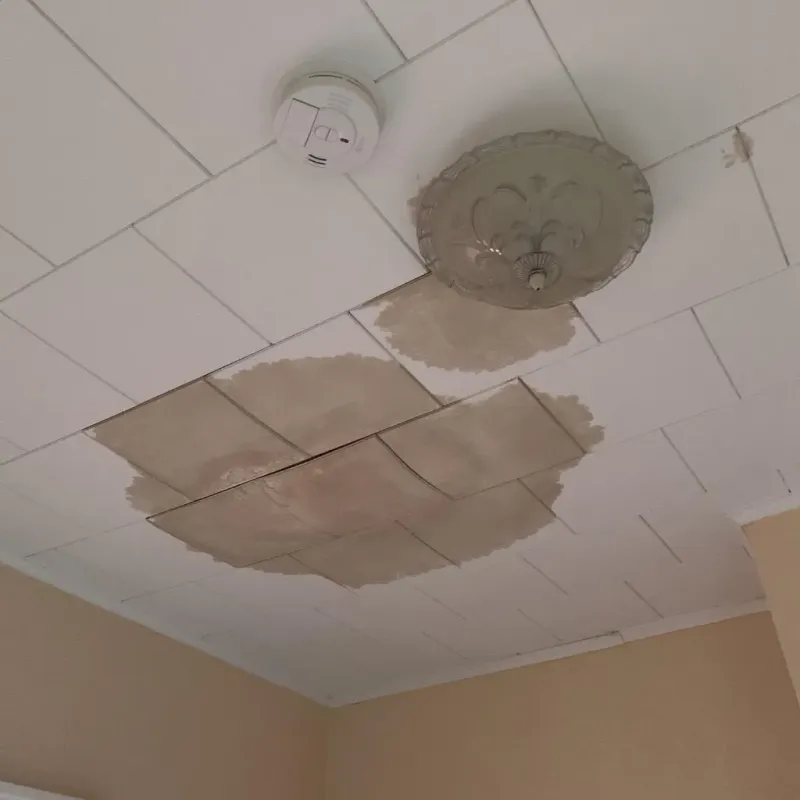 Ceiling Water Damage Repair in Scott County, KS