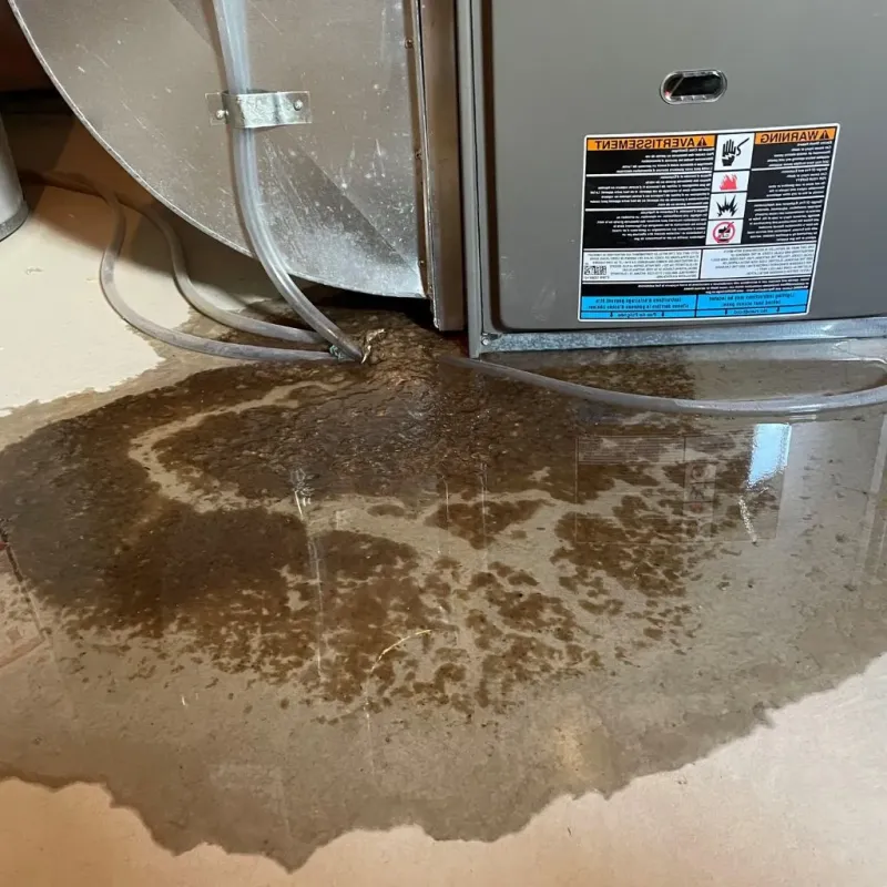 Pipe Burst and Leak Restoration in Scott County, KS