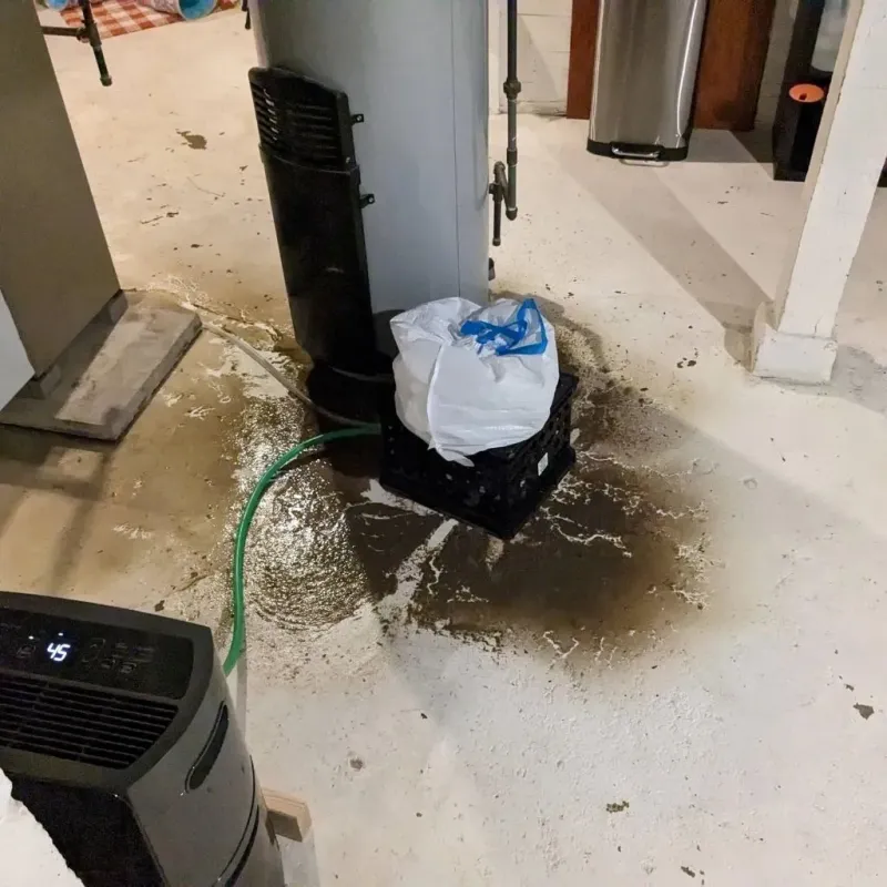 Sewage Backup Cleanup Service in Scott County, KS